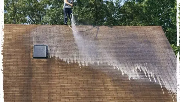 Menage Total Roof Cleaning