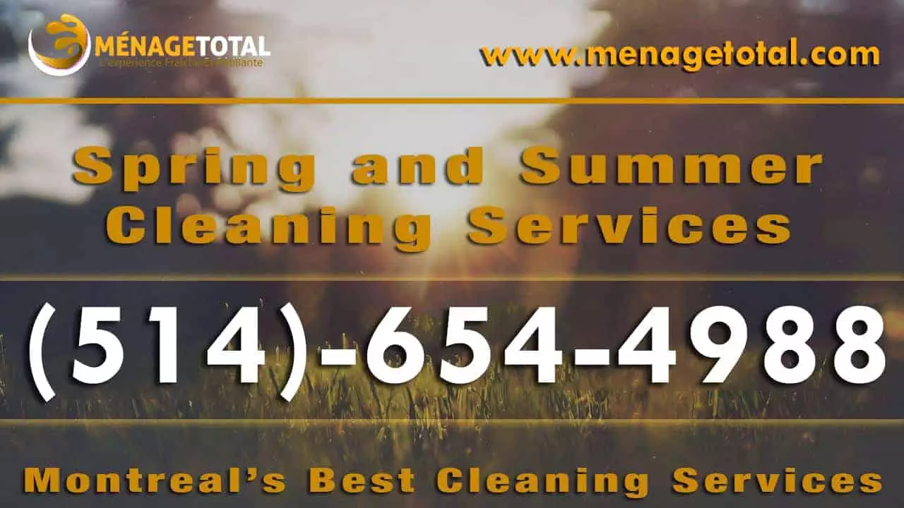 Menage Total Summer Cleaning Service