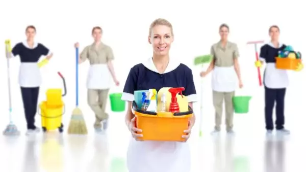 Professional Cleaning Services