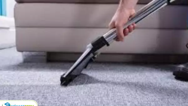 menage total carpet cleaning