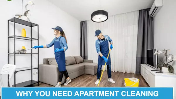 Why You Need Apartment Cleaning Services